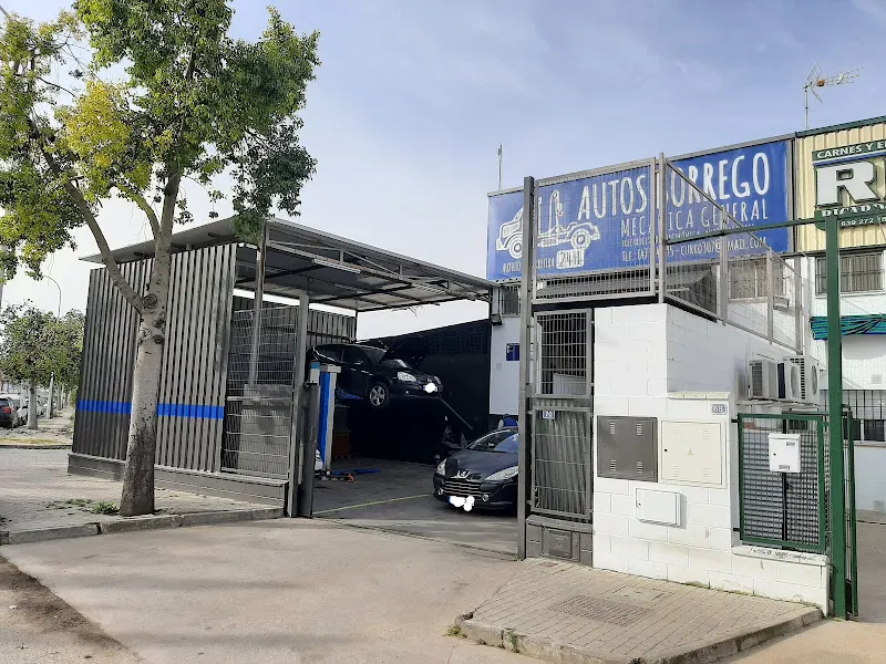 Autos Borrego