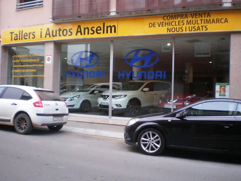 TALLERS I AUTOS ANSELM - Mollet del Vallès